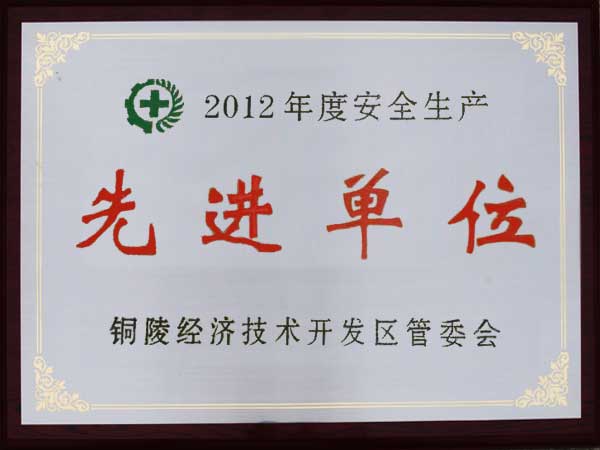 2012年度“安全生產先進單位”